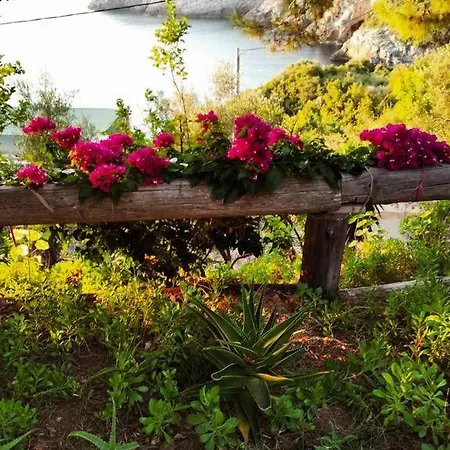 Dialiskari #3 Appartement *