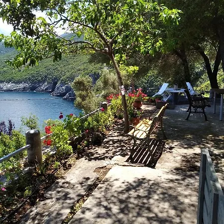 Dialiskari #3 * Limniónas